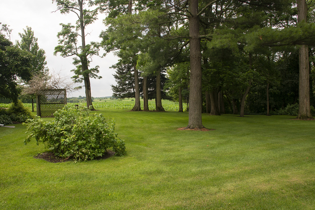 26883 Capp Road Sterling, IL 61081 - Photo 26 of 34 a view of garden with trees