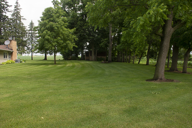 26883 Capp Road Sterling, IL 61081 - Photo 29 of 34 a view of a trees in a park