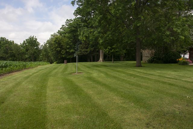 26883 Capp Road Sterling, IL 61081 - Photo 30 of 34 a view of a big yard with large trees
