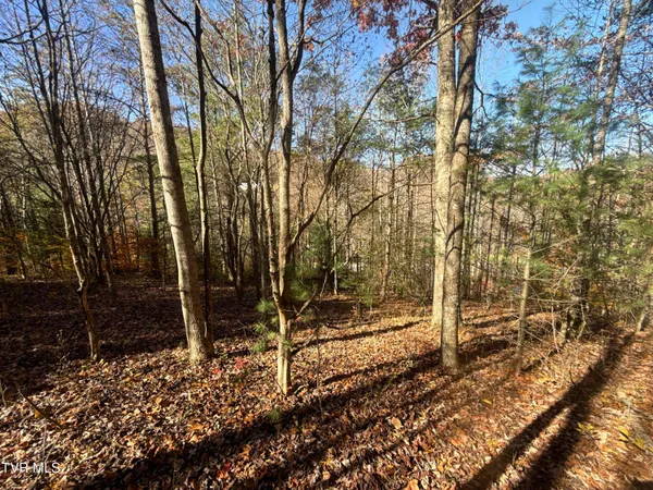 $89,900 | 19e Hampton Tn 37658, Hampton, TN 37658