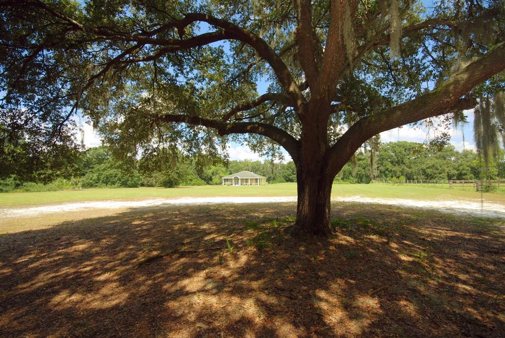 1712 Welcome Road Lithia, FL 33547 - Photo 1 of 1 FRONT