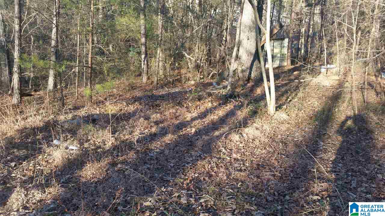 2244 Morris Majestic Road, Unit LOT 5 Morris, AL 35116 - Photo 9 of 10