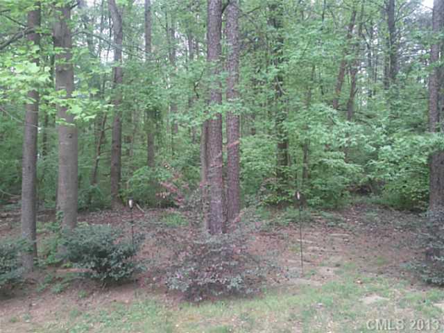 9121 Chimney Ridge Trail Charlotte, NC 28269 - Photo 13 of 13