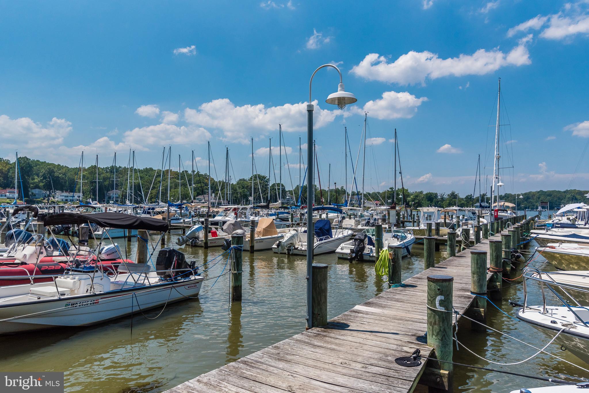 90 River Drive Annapolis, MD 21403 - Photo 41 of 44 a view of a lake with boats and trees