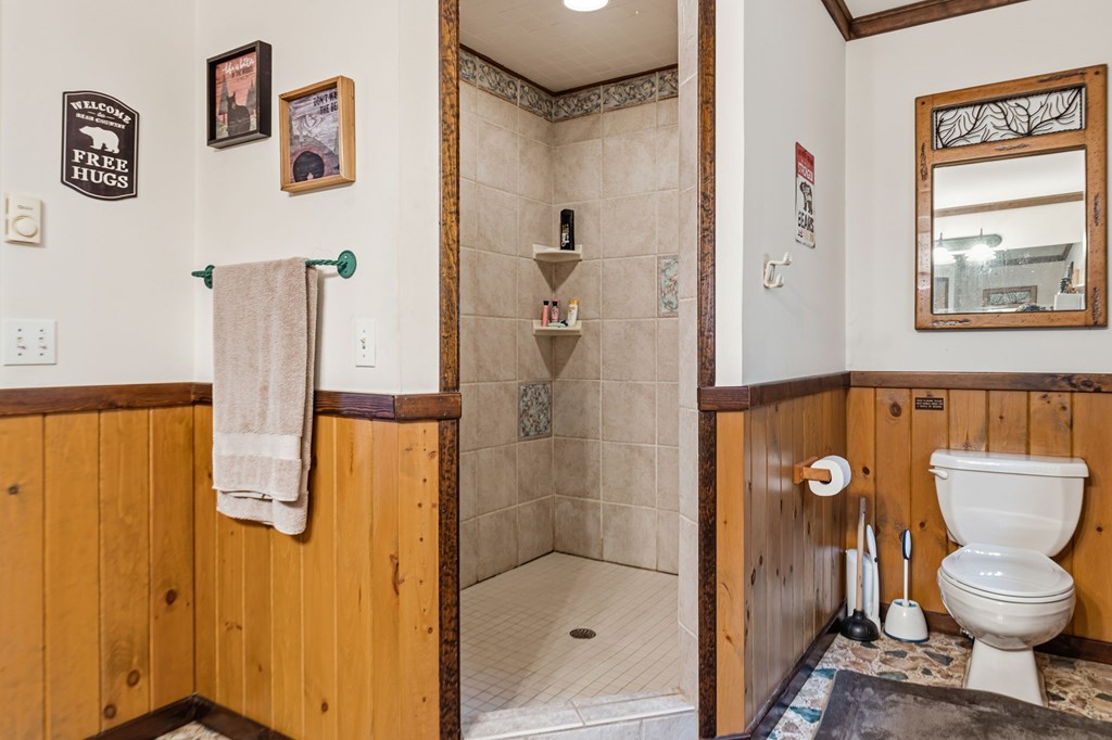 4662 Rainbow Springs Road Franklin, NC 28734 - Photo 31 of 39 a bathroom with a toilet and a shower