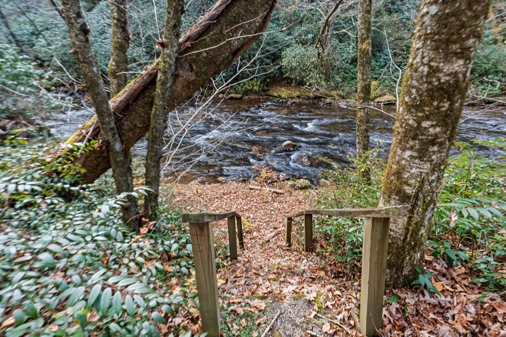 4662 Rainbow Springs Road Franklin, NC 28734 - Photo 38 of 39