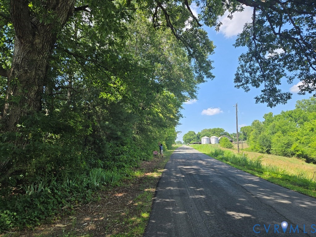 0 Mulberry Hill Road Randolph, VA 23962 - Photo 5 of 7 Paved road bordered by mature trees and lush green