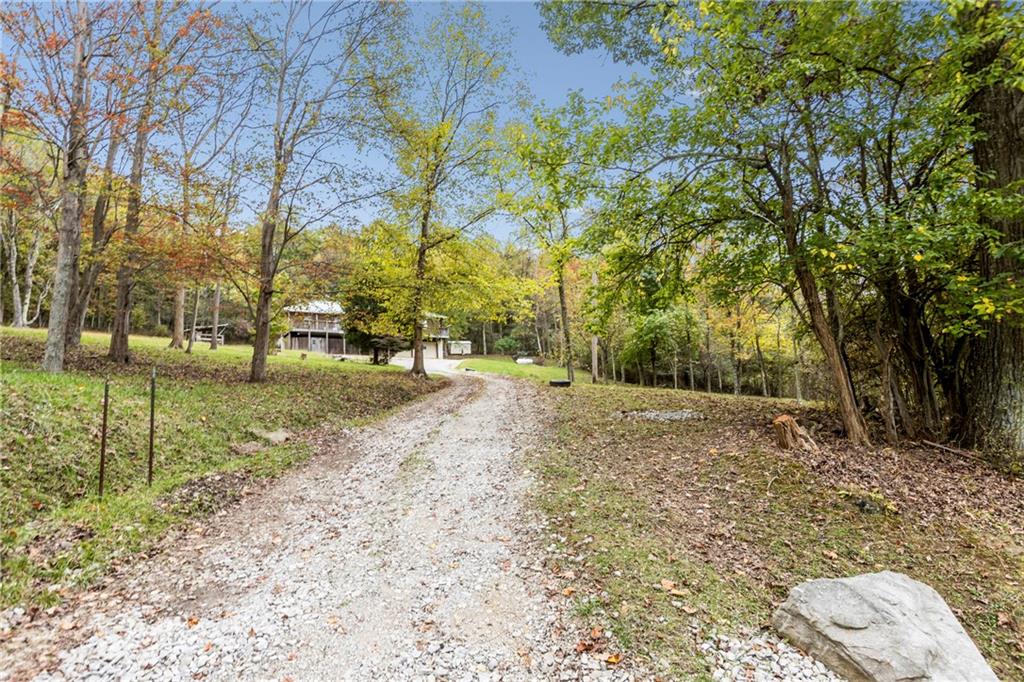 566 Pettit Road Waynesburg, PA 15370 - Photo 42 of 50 a view of road with trees