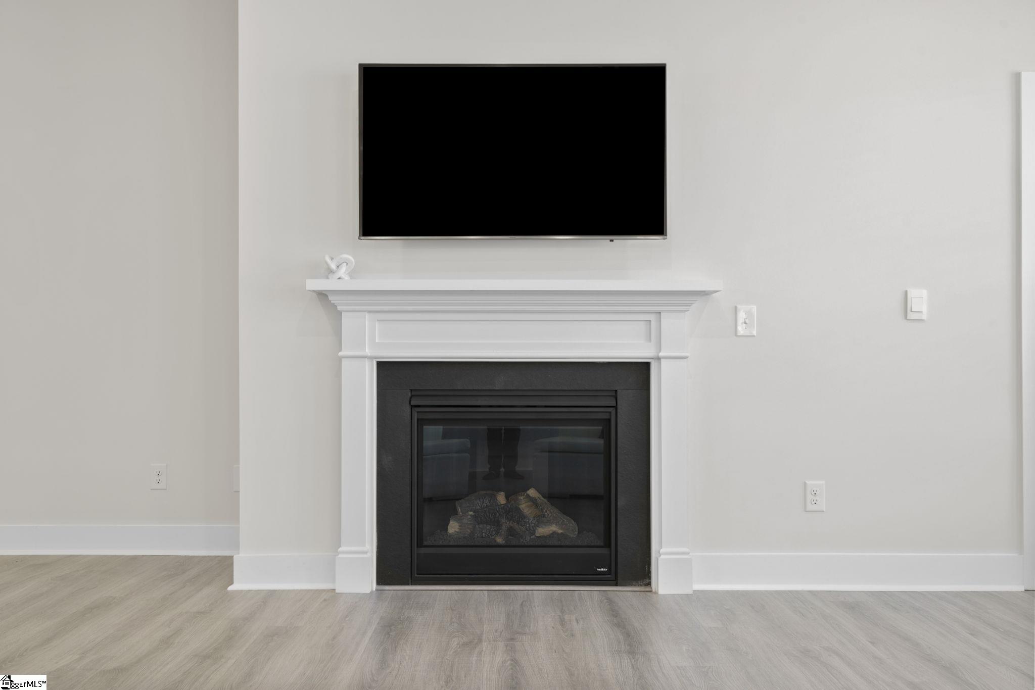 133 Barred Owl Road Travelers Rest, SC 29690 - Photo 7 of 43