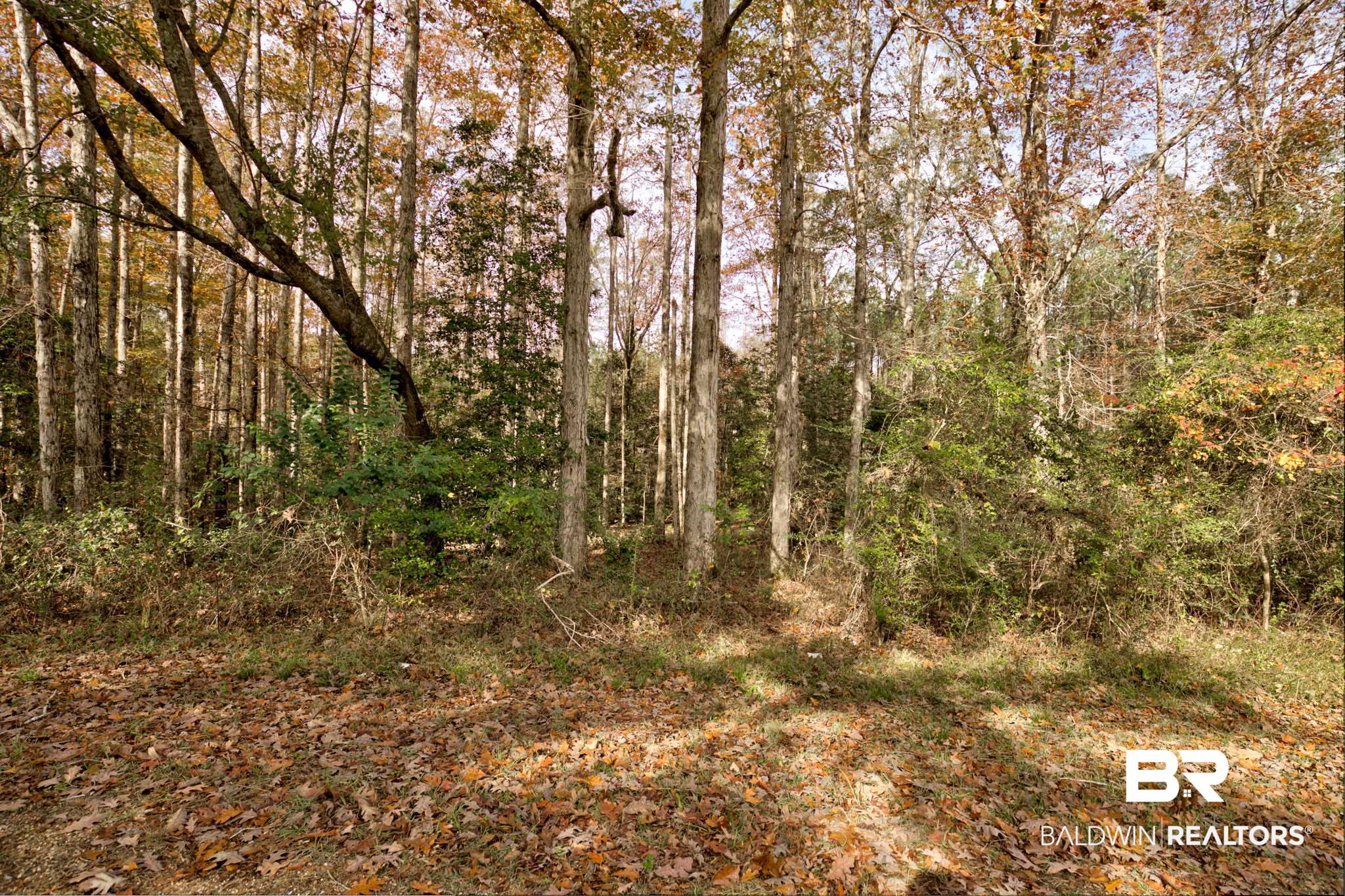 Old Greenville Road Evergreen, AL 36401 - Photo 13 of 16