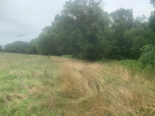 0 Shakerag Road Buckhead, GA 30625 - Photo 1 of 1 a view of empty room with green space