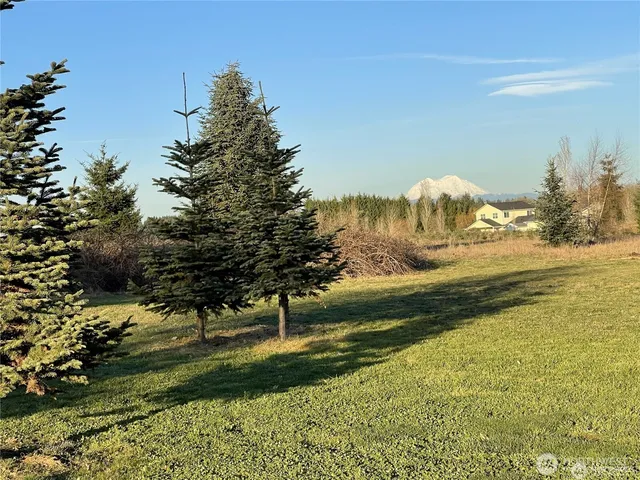 a view of green field