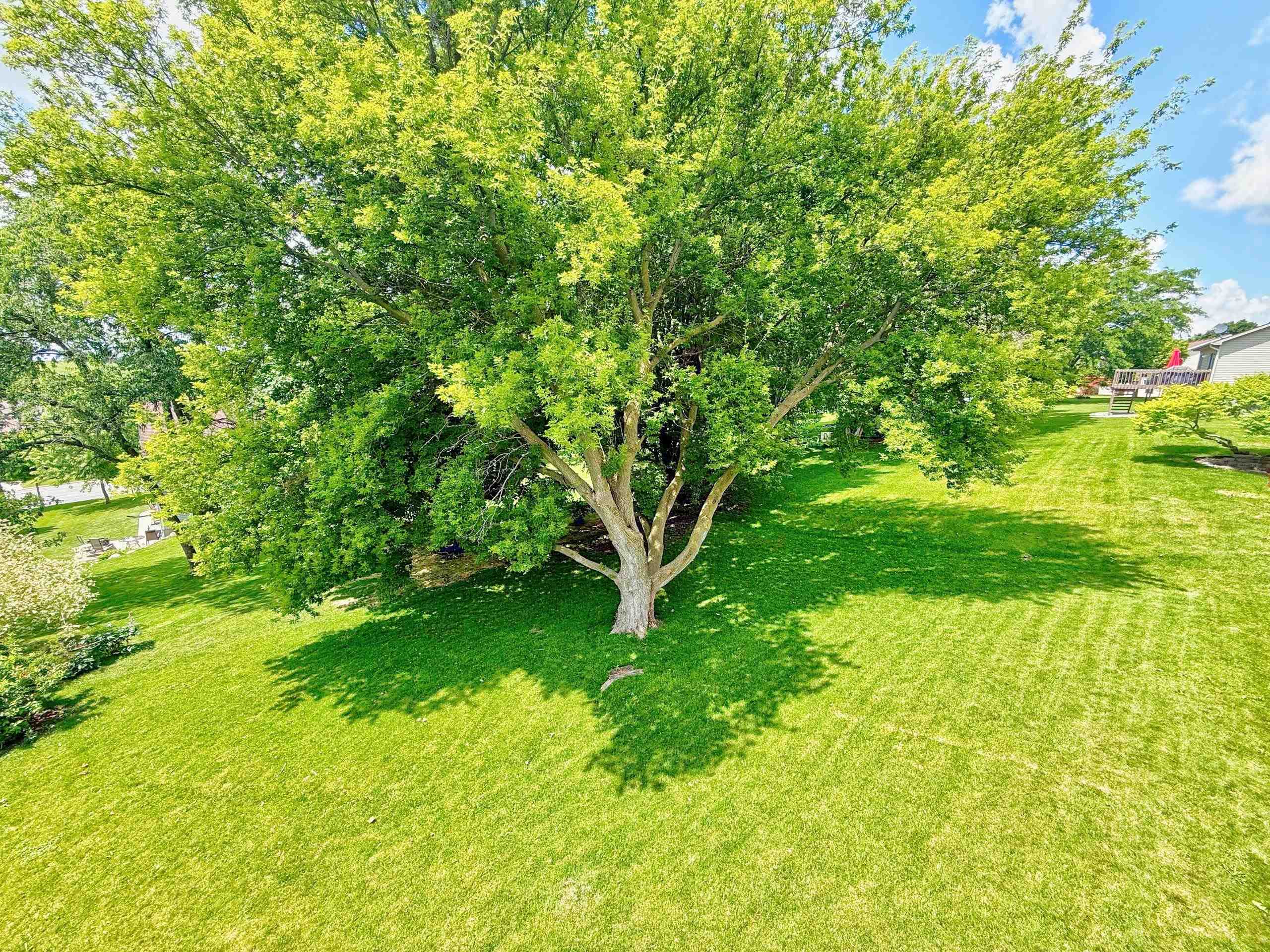 932 Vista Ridge Drive Mount Horeb, WI 53572 - Photo 33 of 35
