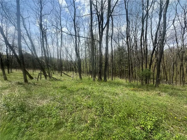 $29,900 | 100 Balantic Hill Road, Laurens, NY 13796