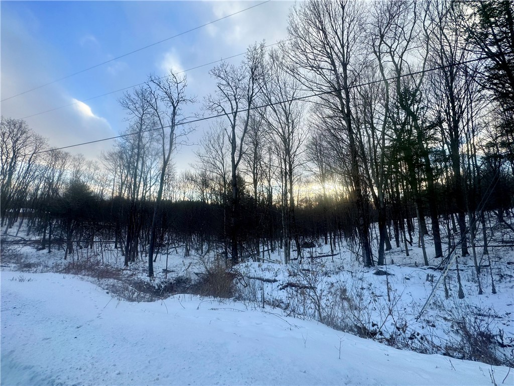 100 Balantic Hill Road Laurens, NY 13796 - Photo 2 of 6