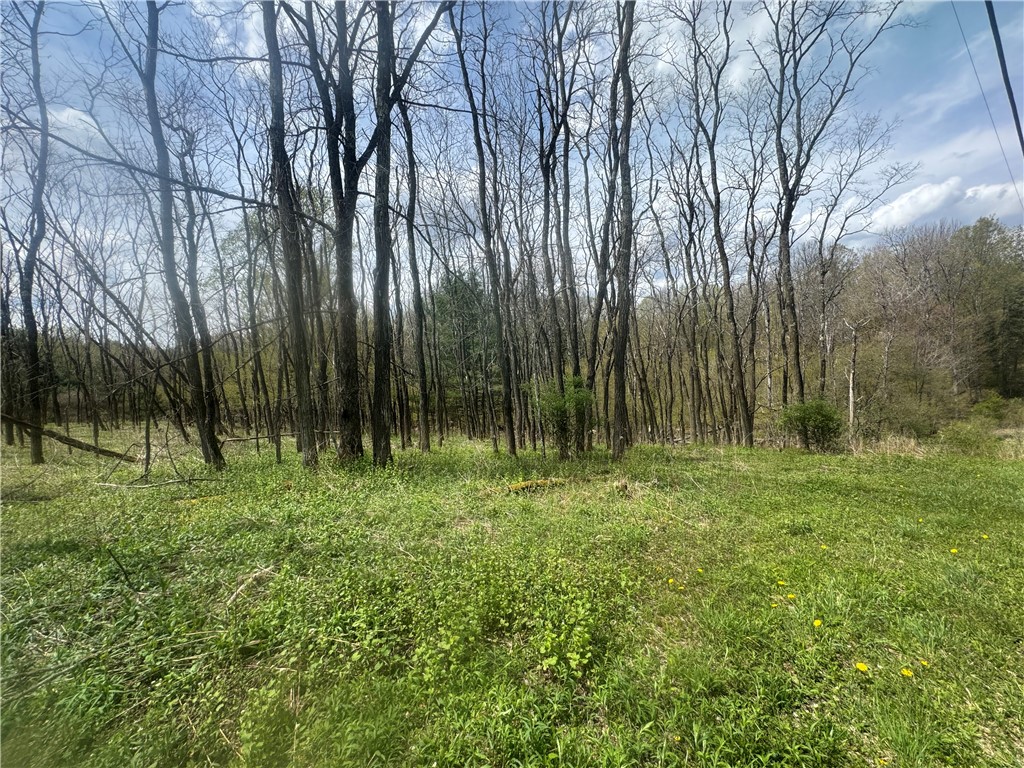 100 Balantic Hill Road Laurens, NY 13796 - Photo 2 of 5