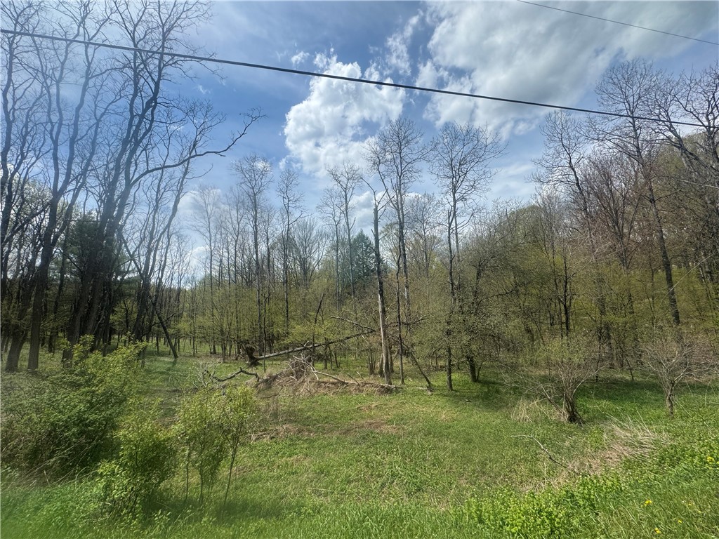 100 Balantic Hill Road Laurens, NY 13796 - Photo 3 of 5
