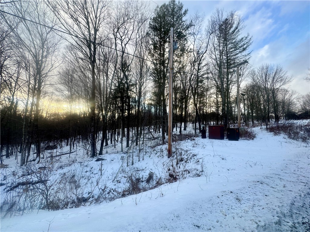 100 Balantic Hill Road Laurens, NY 13796 - Photo 3 of 6