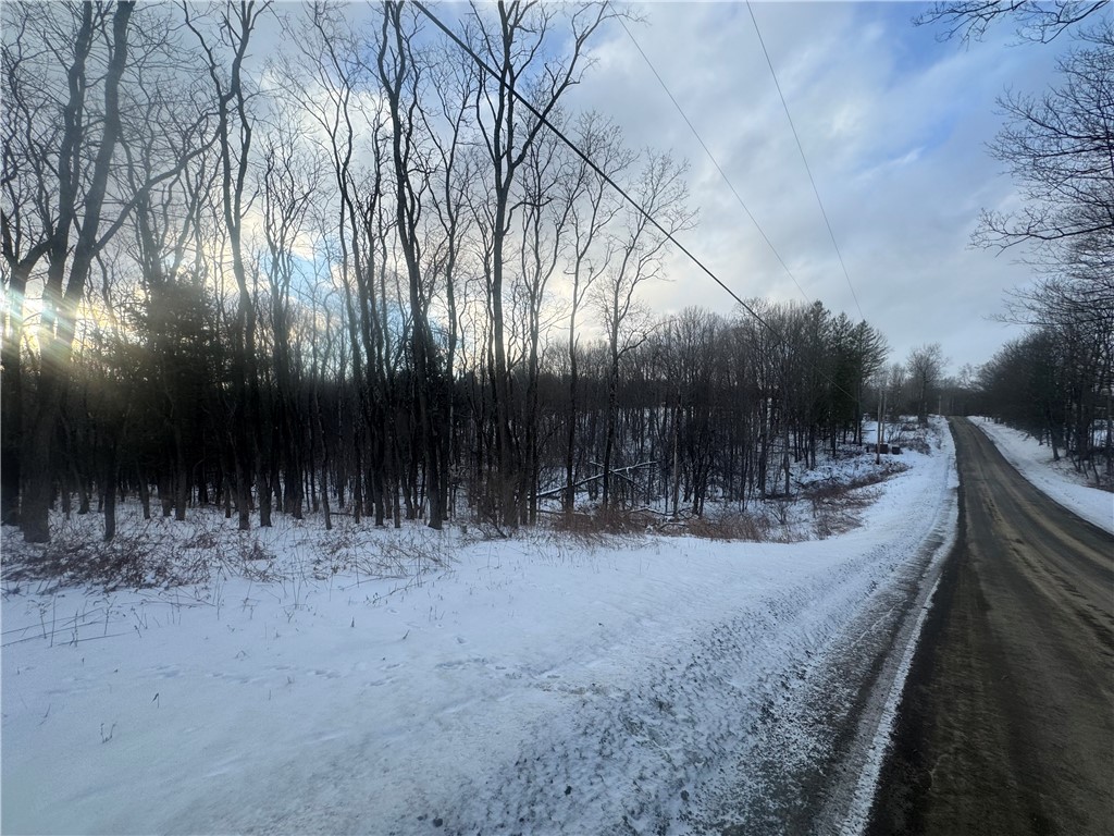 100 Balantic Hill Road Laurens, NY 13796 - Photo 4 of 6