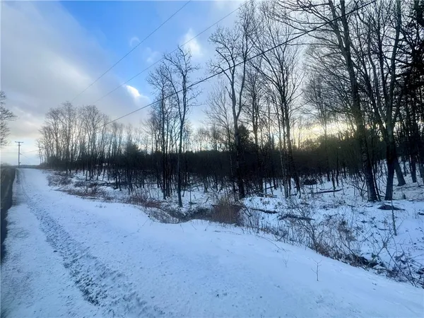 $29,900 | 100 Balantic Hill Road, Laurens, NY 13796