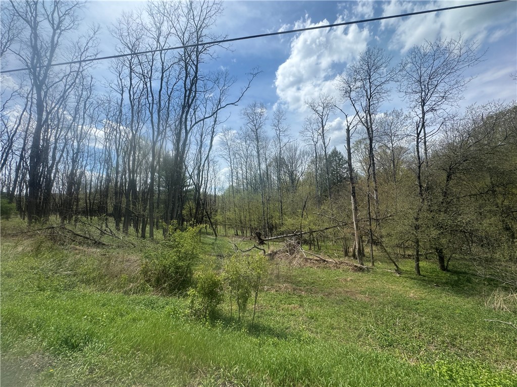 100 Balantic Hill Road Laurens, NY 13796 - Photo 4 of 5