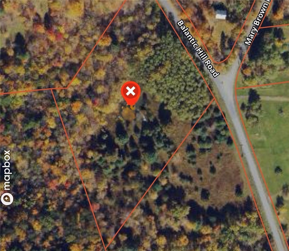 100 Balantic Hill Road Laurens, NY 13796 - Photo 6 of 6