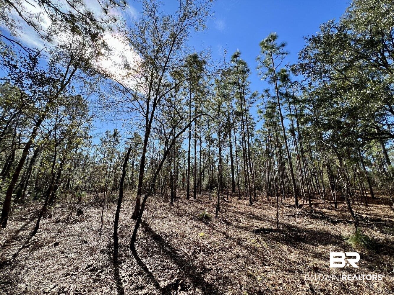 0 Dixon Road Bay Minette, AL 36507 - Photo 39 of 50