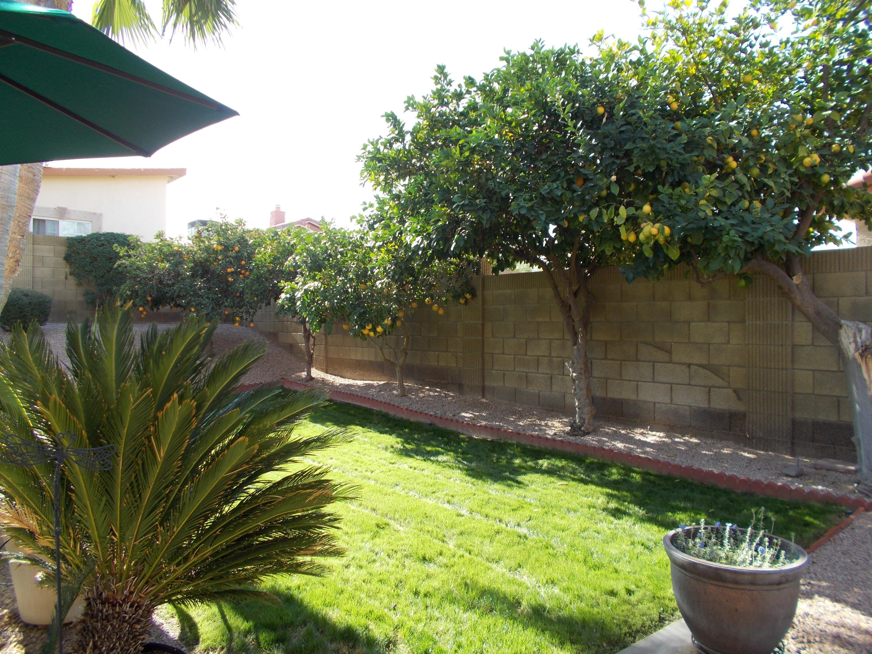 1805 East Hearn Road Phoenix, AZ 85022 - Photo 54 of 71 BACK YARD