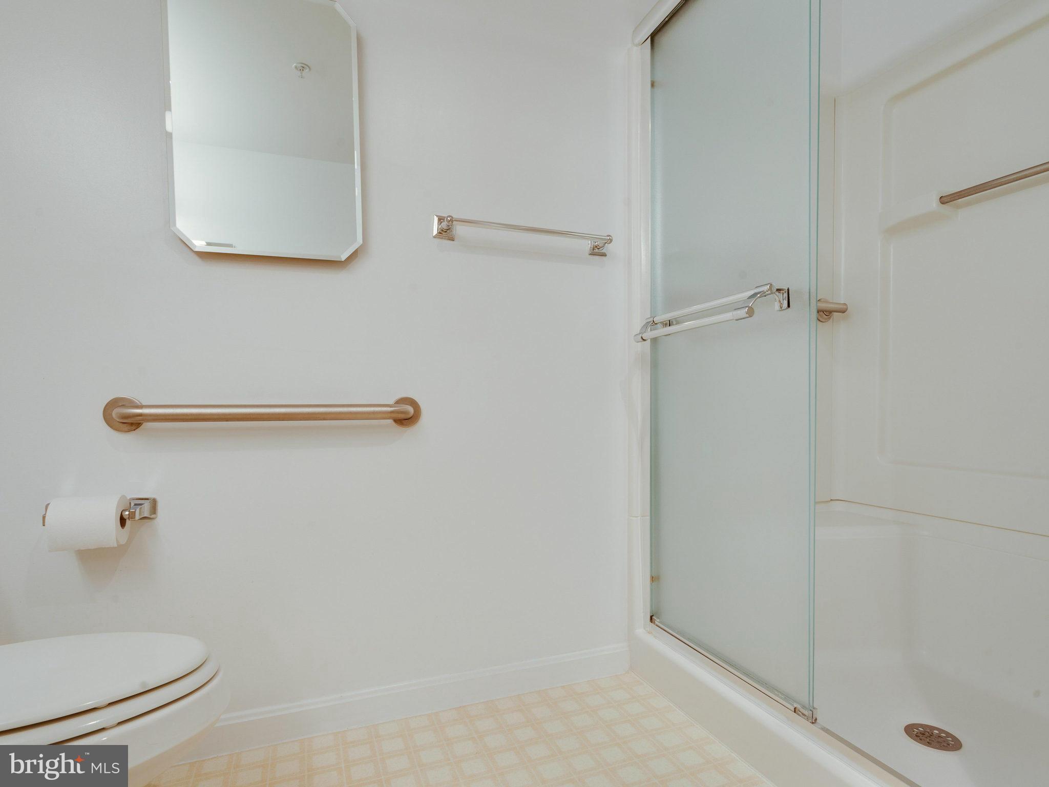 19375 Cypress Ridge Terrace, Unit 509 Leesburg, VA 20176 - Photo 21 of 30 Bath (Master)