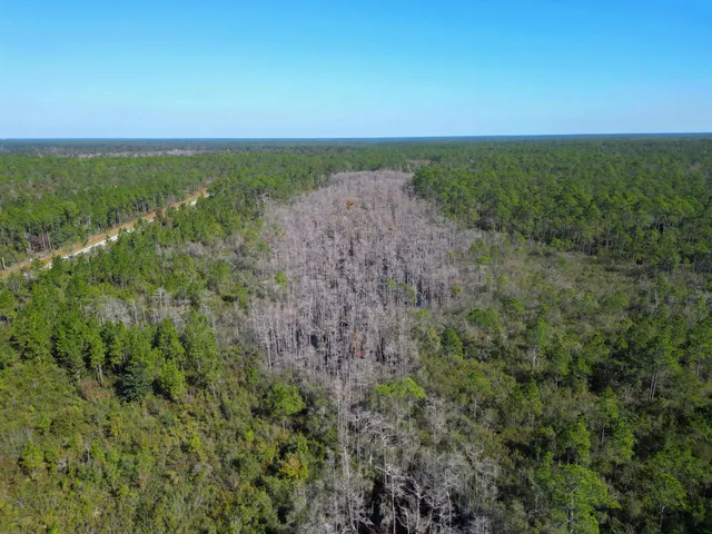 $300,000 | 0 Southwest County Road 12 Road, Bristol, FL 32321