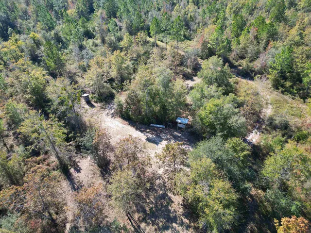 $300,000 | 0 Southwest County Road 12 Road, Bristol, FL 32321