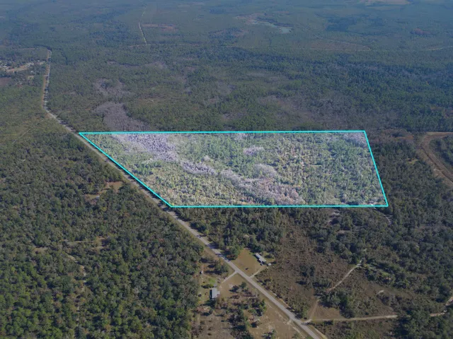 $300,000 | 0 Southwest County Road 12 Road, Bristol, FL 32321