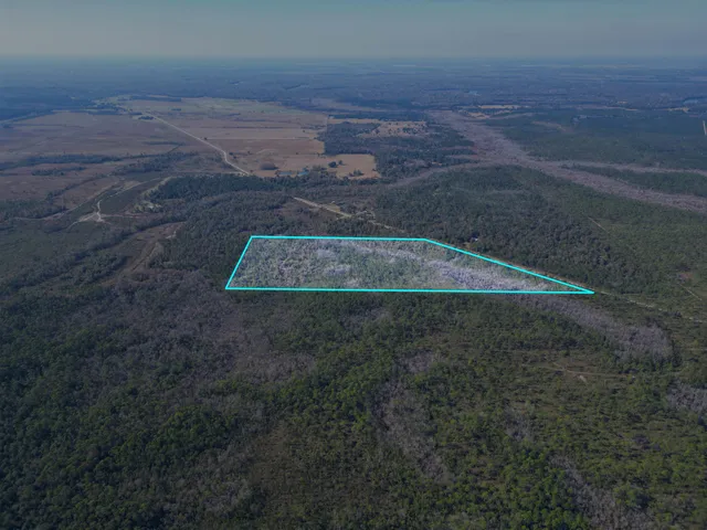 $300,000 | 0 Southwest County Road 12 Road, Bristol, FL 32321