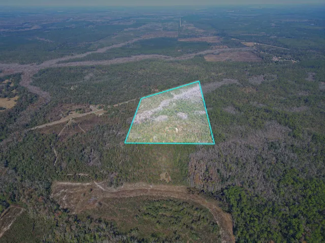 $300,000 | 0 Southwest County Road 12 Road, Bristol, FL 32321