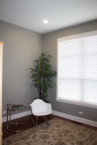 613 Kinnear Cove Inverness, IL 60010 - Photo 9 of 20