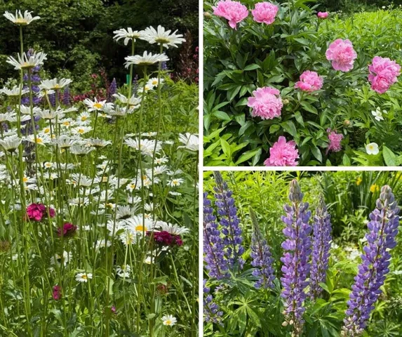 $850,000 | 255 Mud Pond Road, Williston, VT 05495