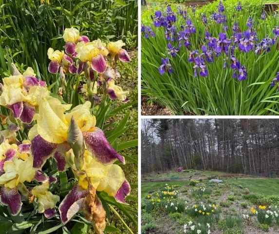 $850,000 | 255 Mud Pond Road, Williston, VT 05495