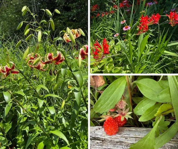 $850,000 | 255 Mud Pond Road, Williston, VT 05495