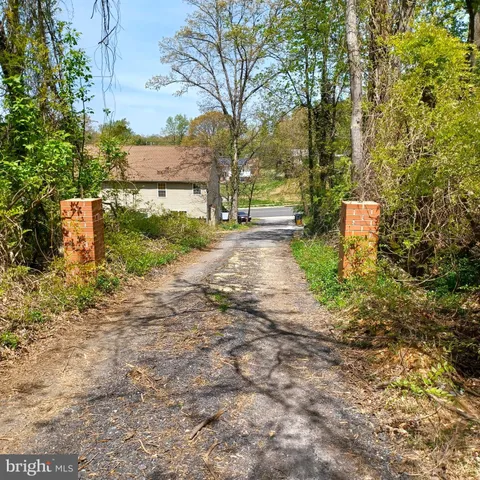 a view of a yard with plants and trees