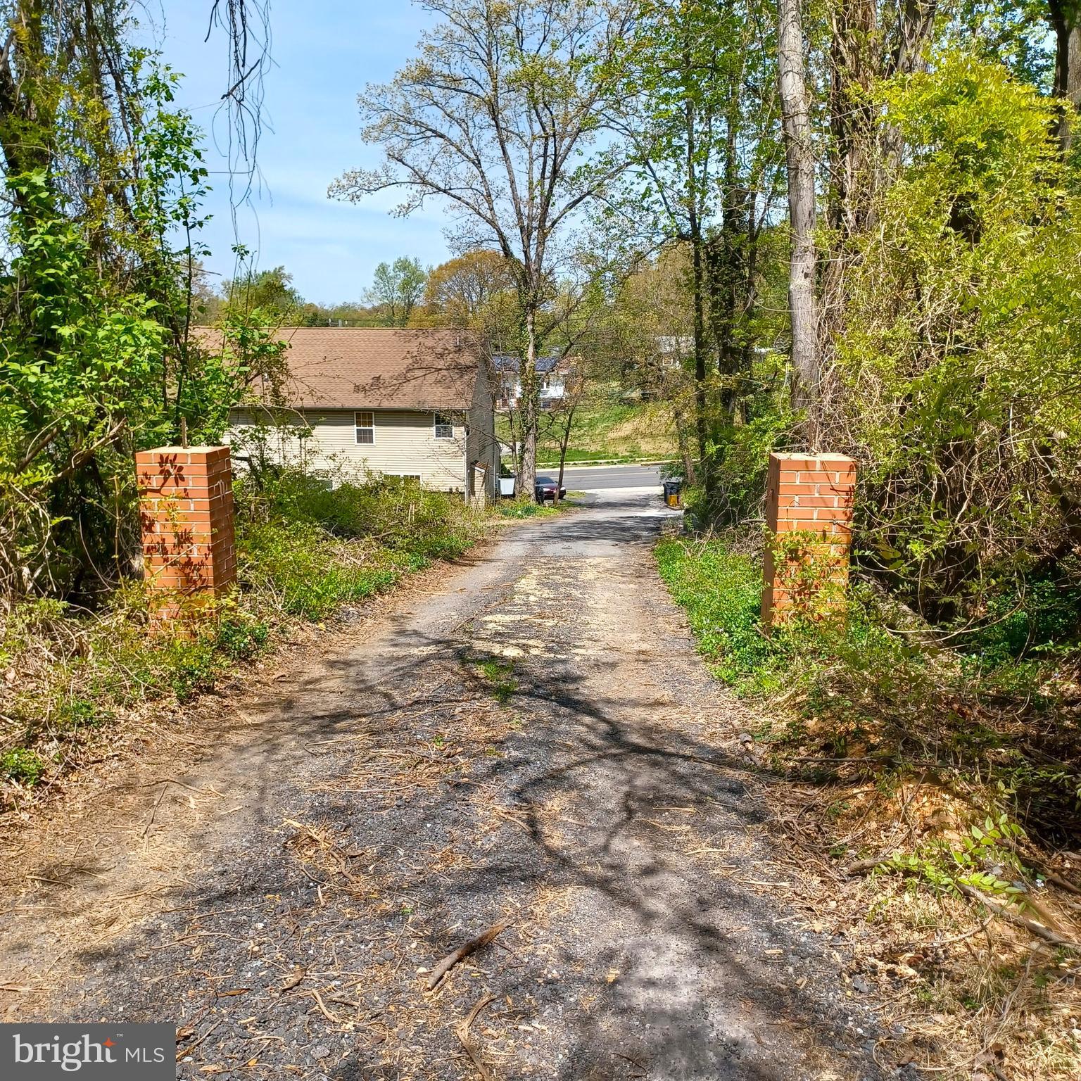 a view of a yard with plants and trees