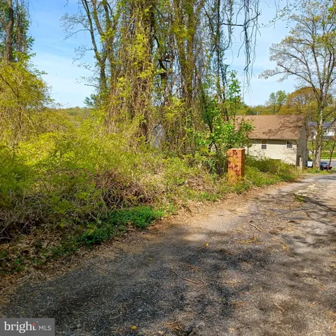 a view of a yard with a tree