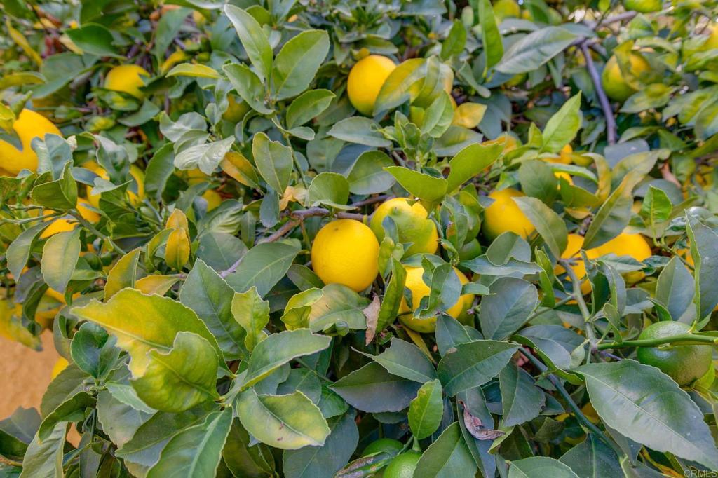 10217 Prairie Springs Road San Diego, CA 92127 - Photo 34 of 45