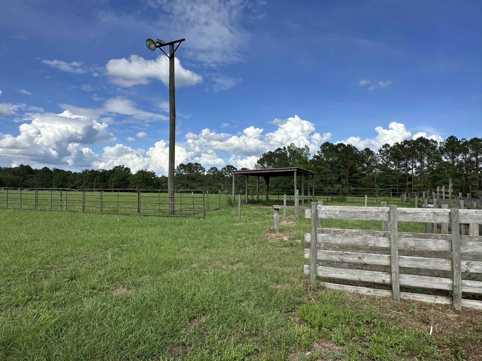 420 Gomillion Road Florala, AL 36442 - Photo 28 of 32 IMG_0097