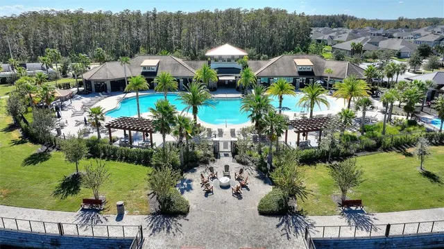 a view of a swimming pool with lawn chairs and plants