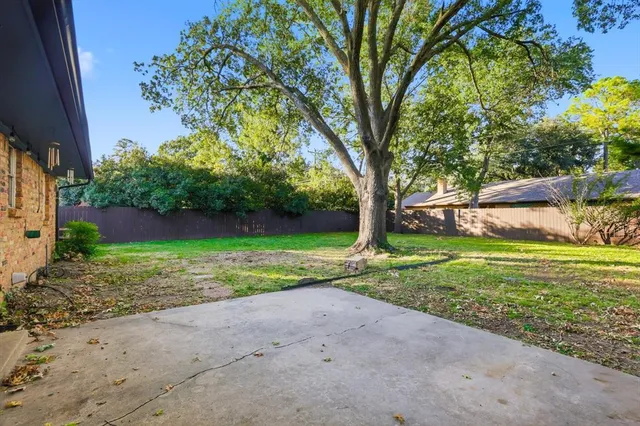 a view of a yard with plants and trees