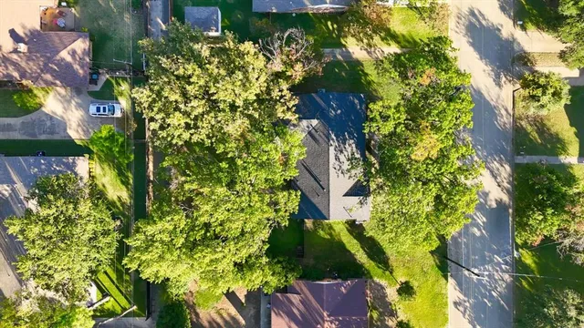 a picture of flowers