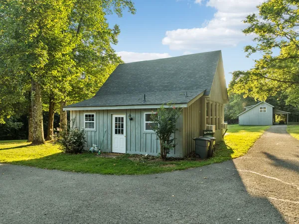a view of a garden with a tree