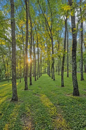 $3,300,000 | 6633 Pinkston Road, College Grove, TN 37046