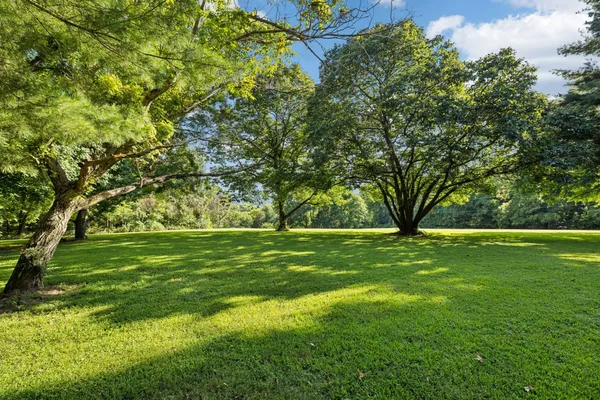 $3,300,000 | 6633 Pinkston Road, College Grove, TN 37046