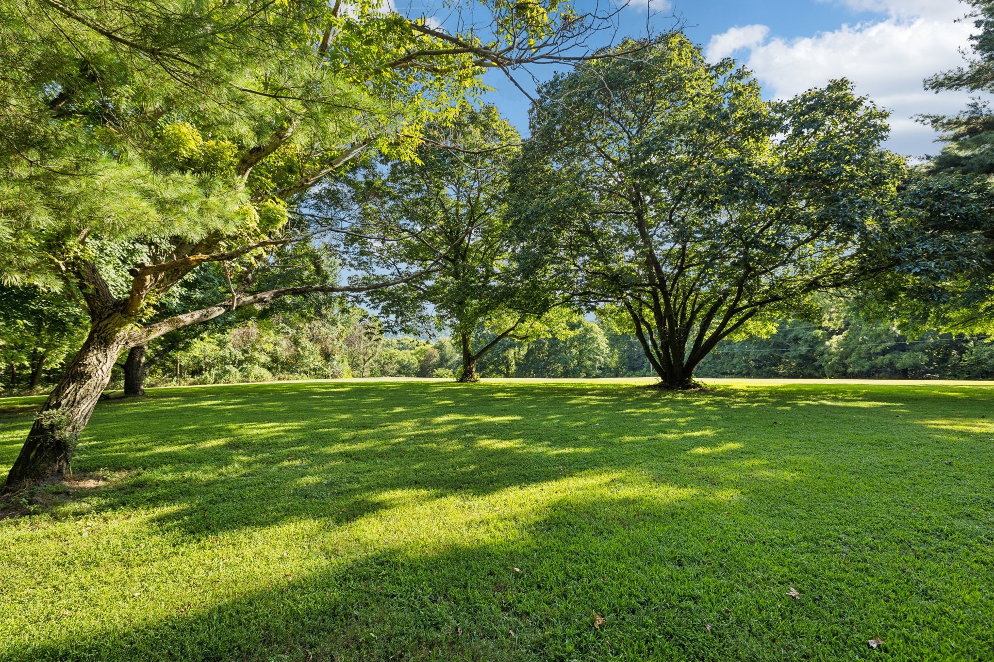 6633 Pinkston Road College Grove, TN 37046 - Photo 63 of 78